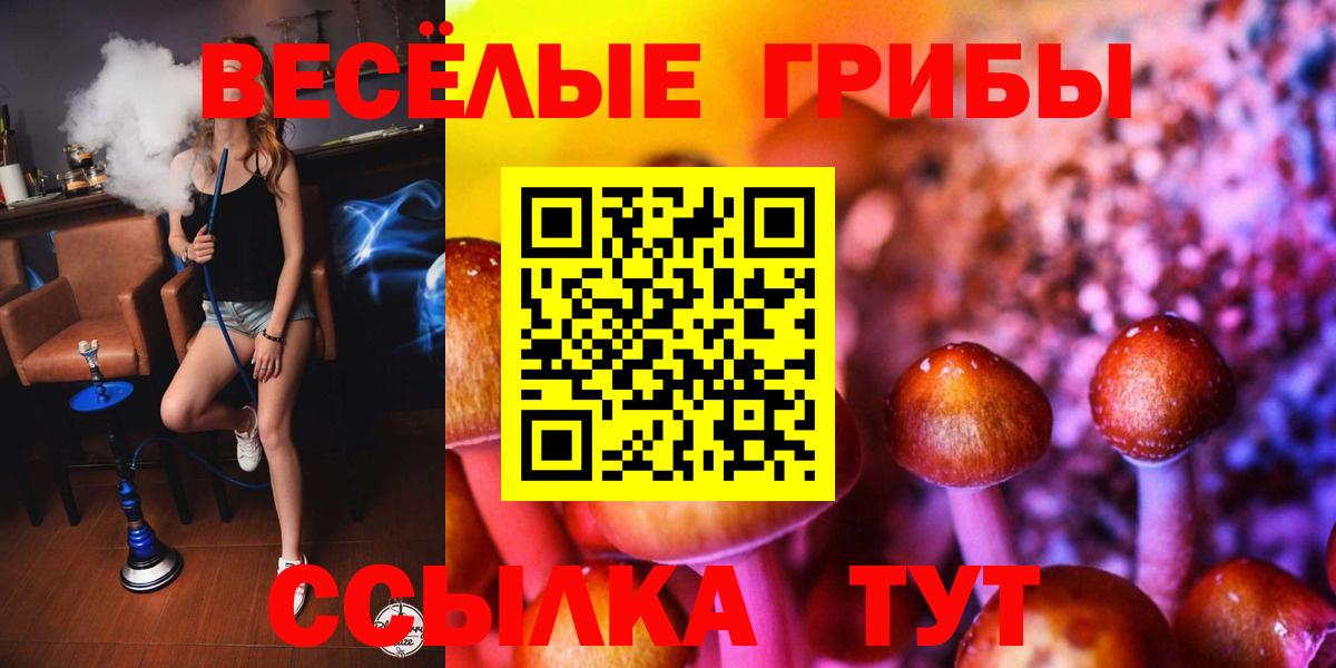 Галлюциногенные грибы мицелий  Вход с VPN  Галлюциногенные грибы GOLDEN TEACHER  где купить наркотик  Камышин 