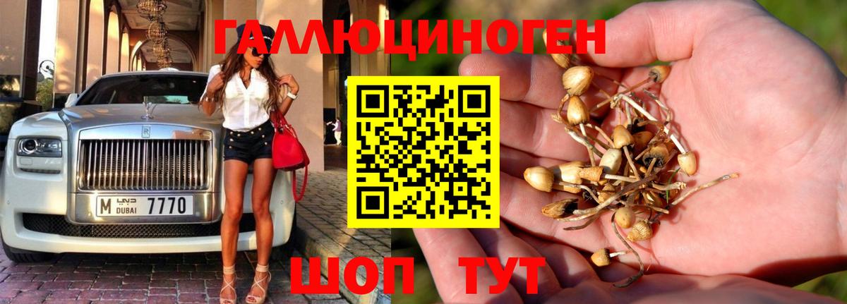 Галлюциногенные грибы мухоморы Камышин